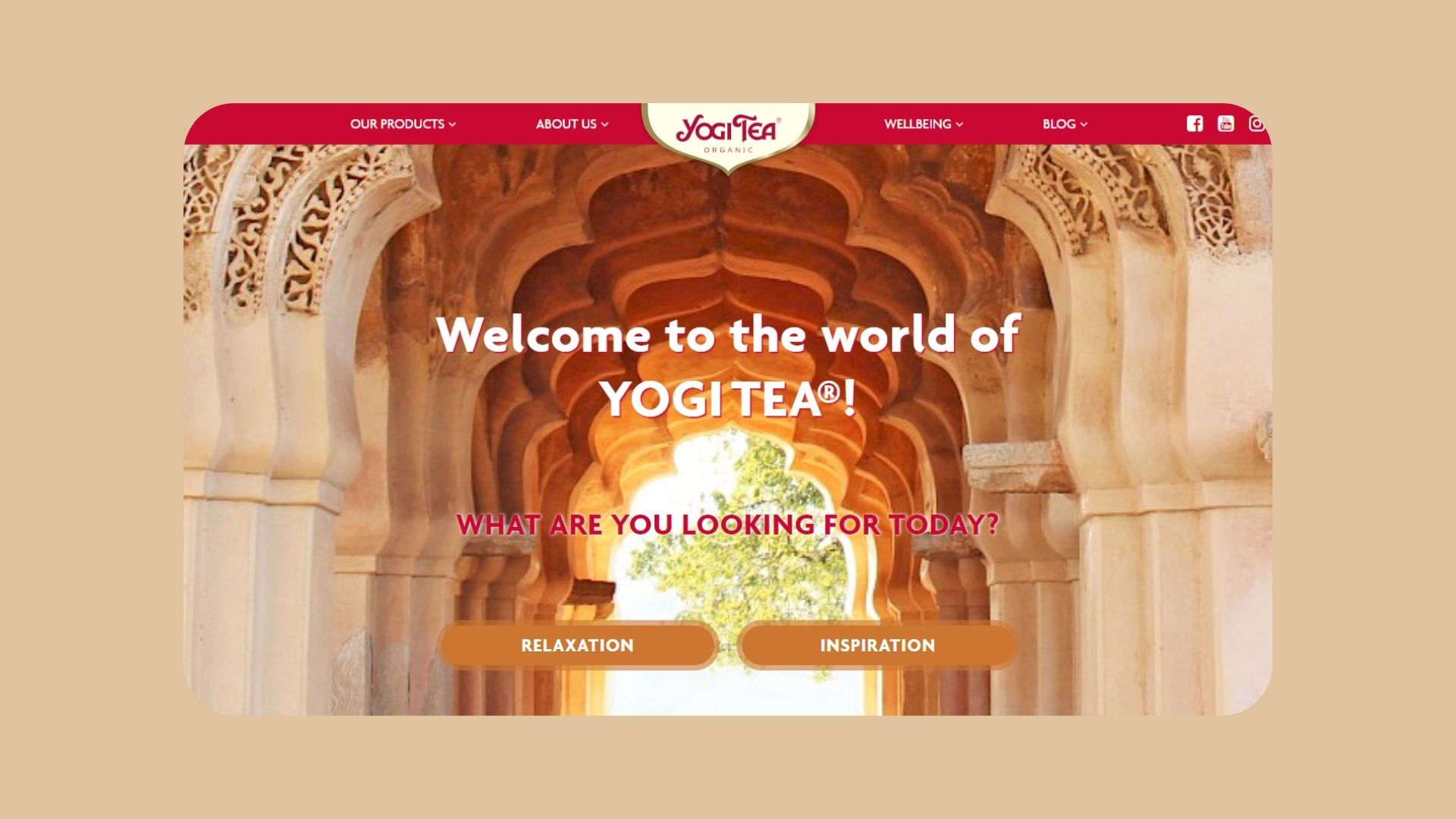Yogi Tea Website Design Inspiration